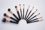 MoMineral Makeup Set of Premium Brushes